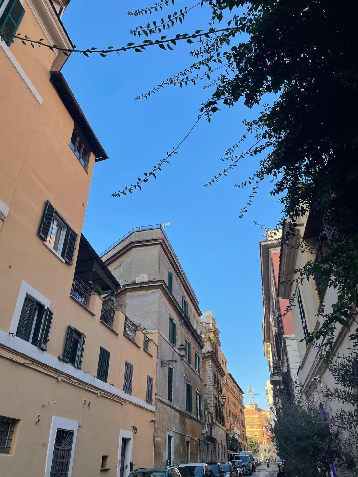 Flatinrome Trastevere Complex 외부 사진